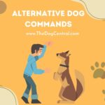 Alternative Dog Commands