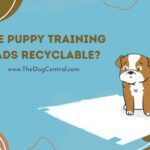 Are Puppy Training Pads Recyclable?