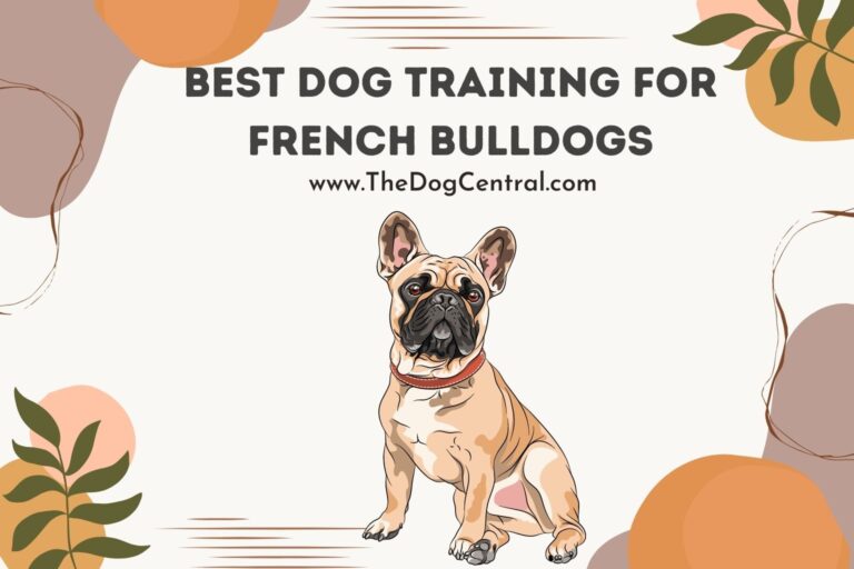 best dog training for french bulldogs