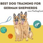 Best Dog Training For German Shepherd Puppies