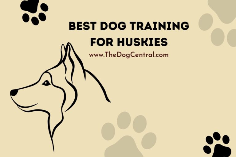 best dog training for huskies