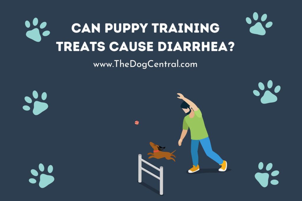 Can Puppy Training Treats Cause Diarrhea? The Dog Central