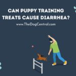 Can Puppy Training Treats Cause Diarrhea?