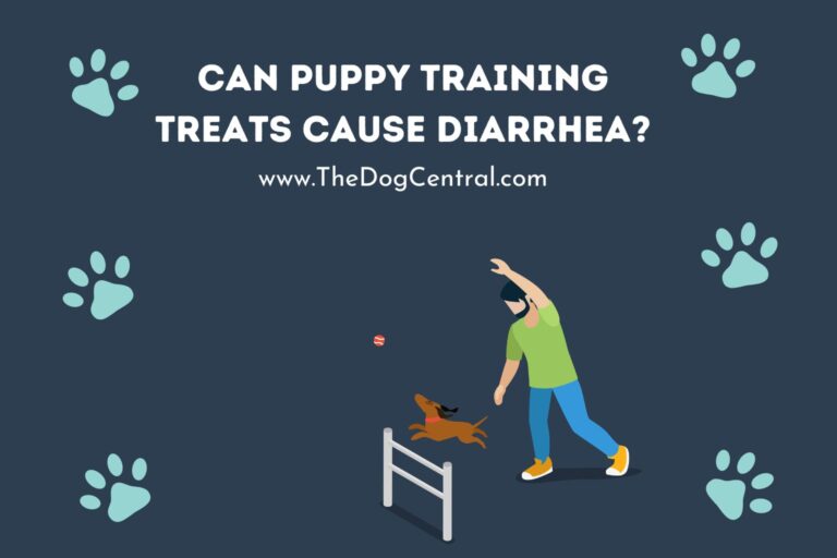 can puppy training treats cause diarrhea_