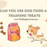 Can You Use Dog Food As Training Treats?