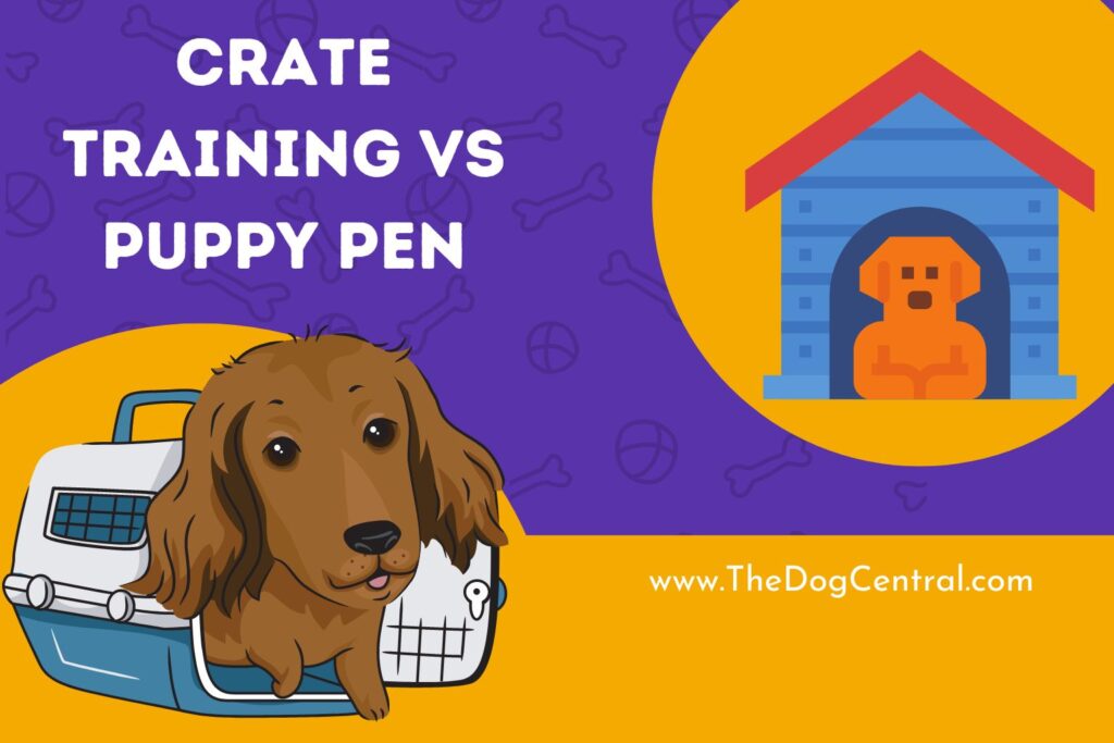 Crate Training Vs Puppy Pen? The Dog Central