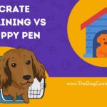 Crate Training Vs Puppy Pen?