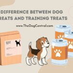The Difference Between Dog Treats and Training Toys