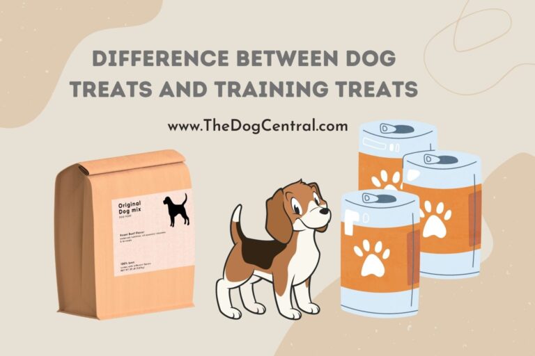 difference between dog treats and training treats