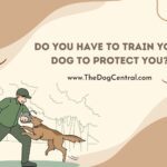 Do You Have to Train Your Dog to Protect You?