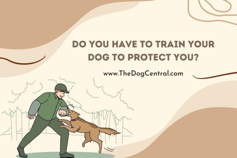 do you have to train your dog to protect you