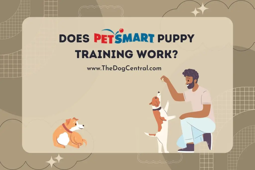 Does Petsmart Puppy Training Work? | The Dog Central