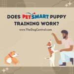 Does Petsmart Puppy Training Work?