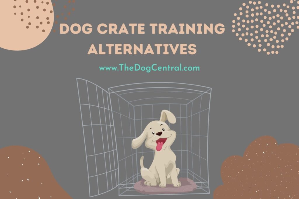 Dog Crate Training Alternatives The Dog Central