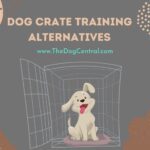 Dog Crate Training Alternatives