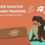 Dog Scratch Board Training Tips
