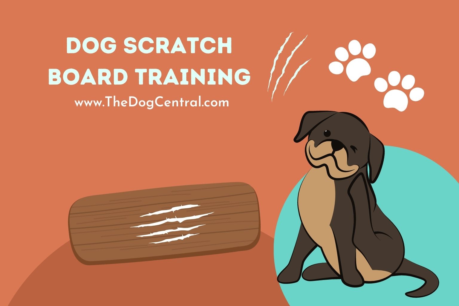 dog scratch board training