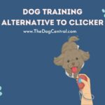 Dog Training Alternative to Clicker