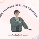 A Dog Training Vest For Handlers