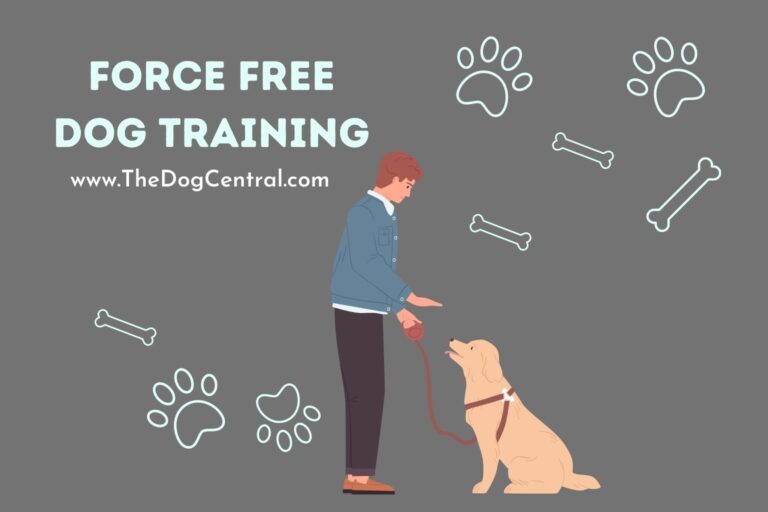 force free dog training