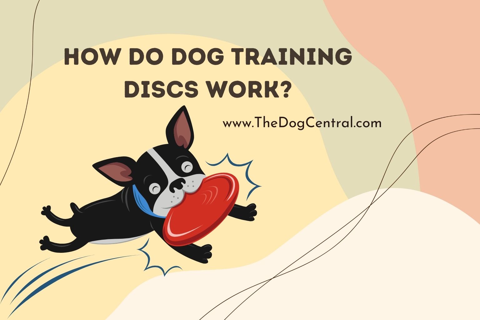 how do dog training discs work