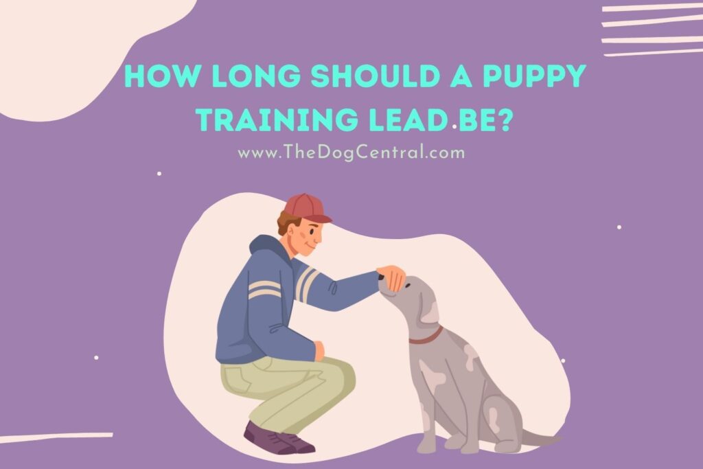 how-long-should-a-puppy-training-lead-be-the-dog-central