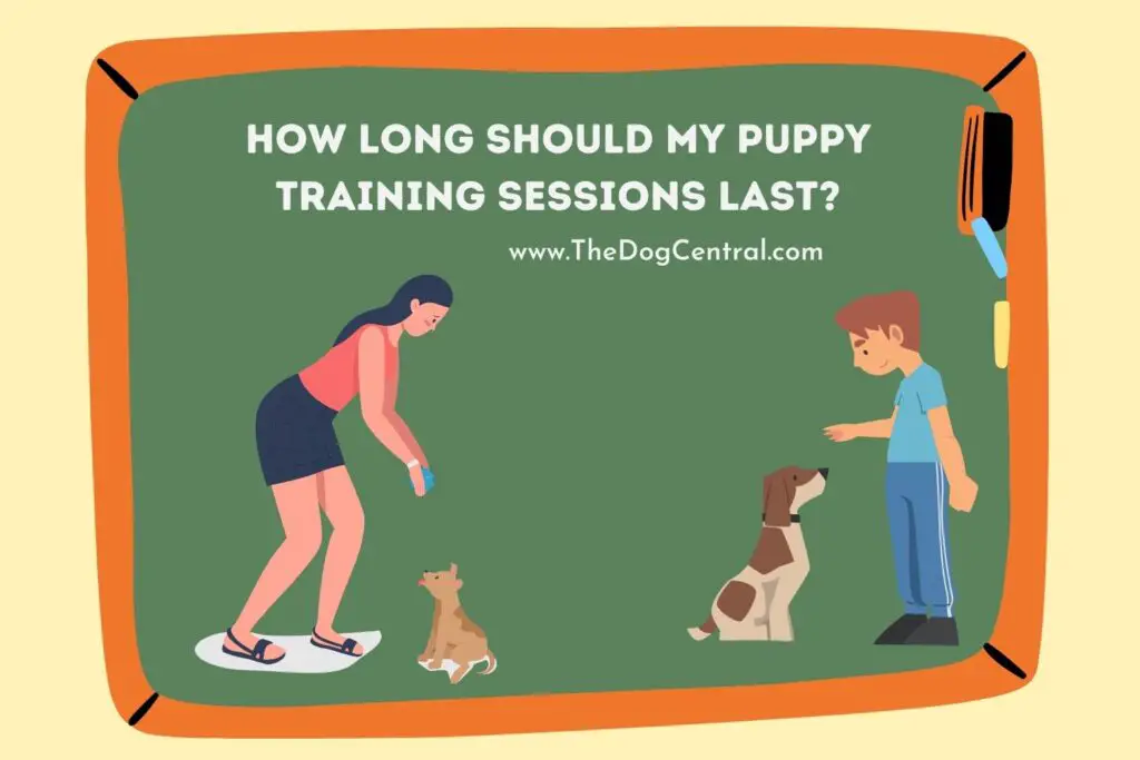 how-long-should-my-puppy-training-sessions-last-the-dog-central