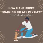 How Many Puppy Training Treats Per Day?