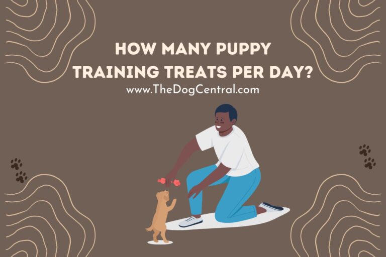 how many puppy training treats per day
