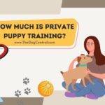 How Much is Private Puppy Training?