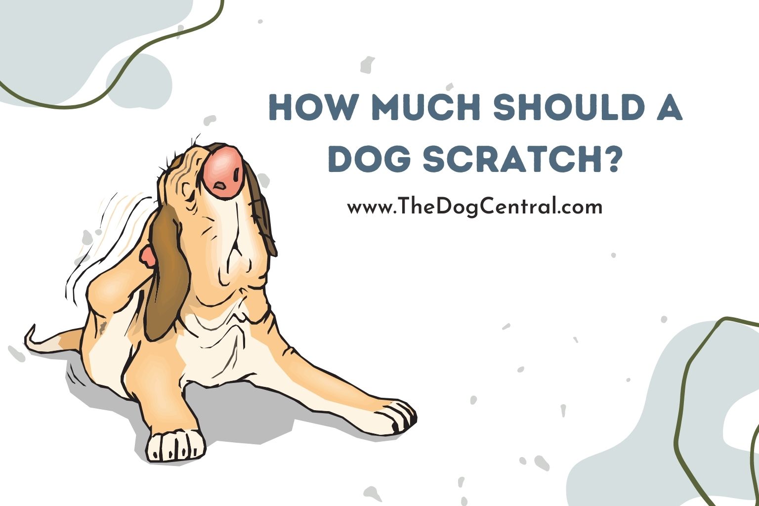 how much should a dog scratch