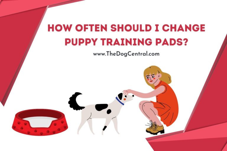 how often should i change puppy training pads