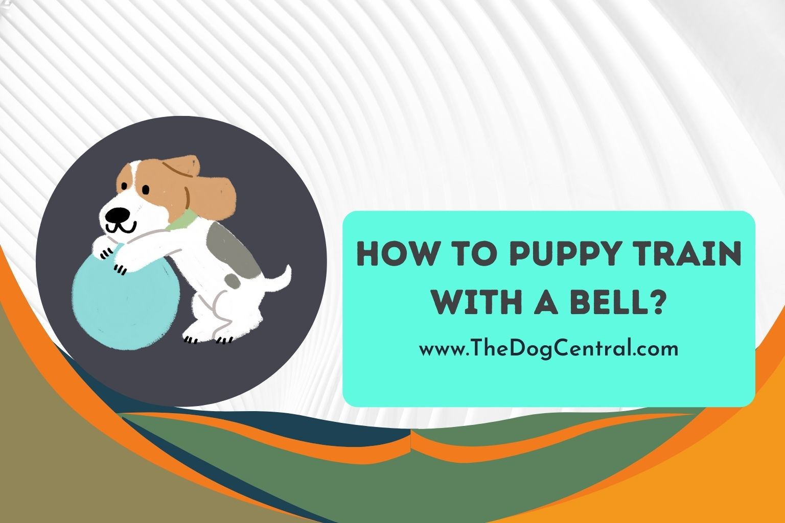 How to Puppy Train With a Bell? The Dog Central