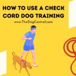 How to Use a Check Cord Dog Training Collar