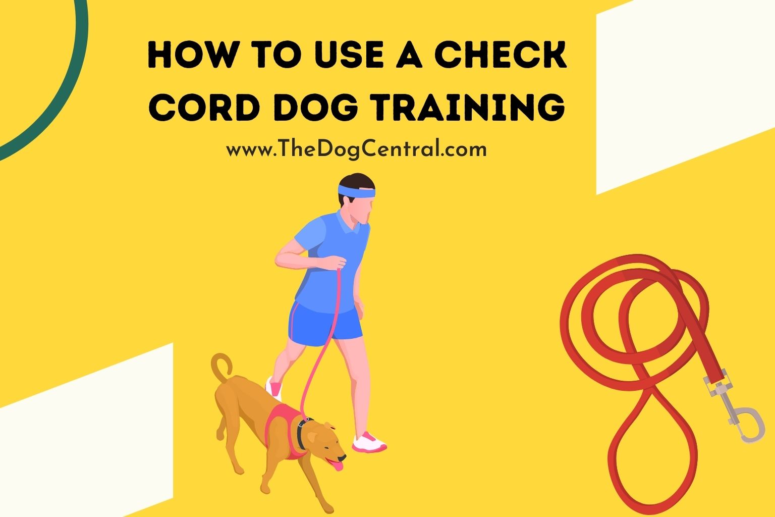 how to use a check cord dog training