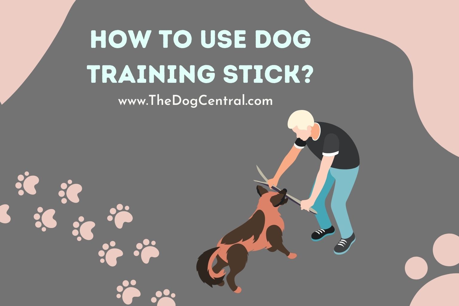 how to use dog training stick