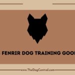 Is Fenrir Dog Training Good?