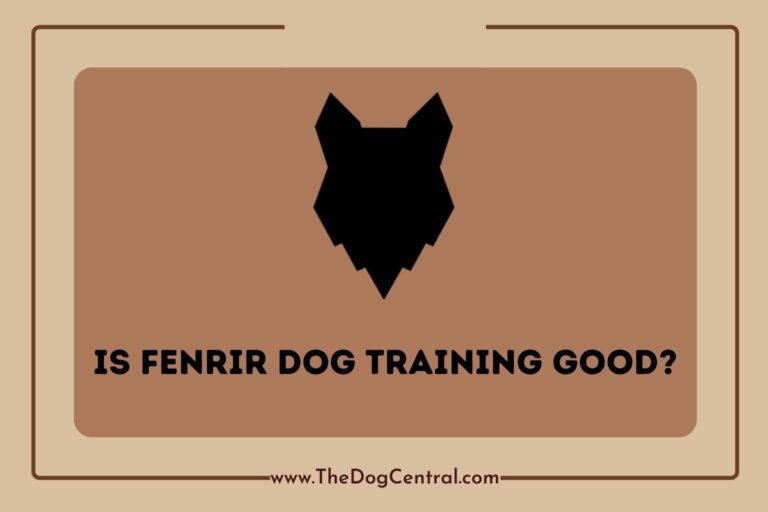 is fenrir dog training good