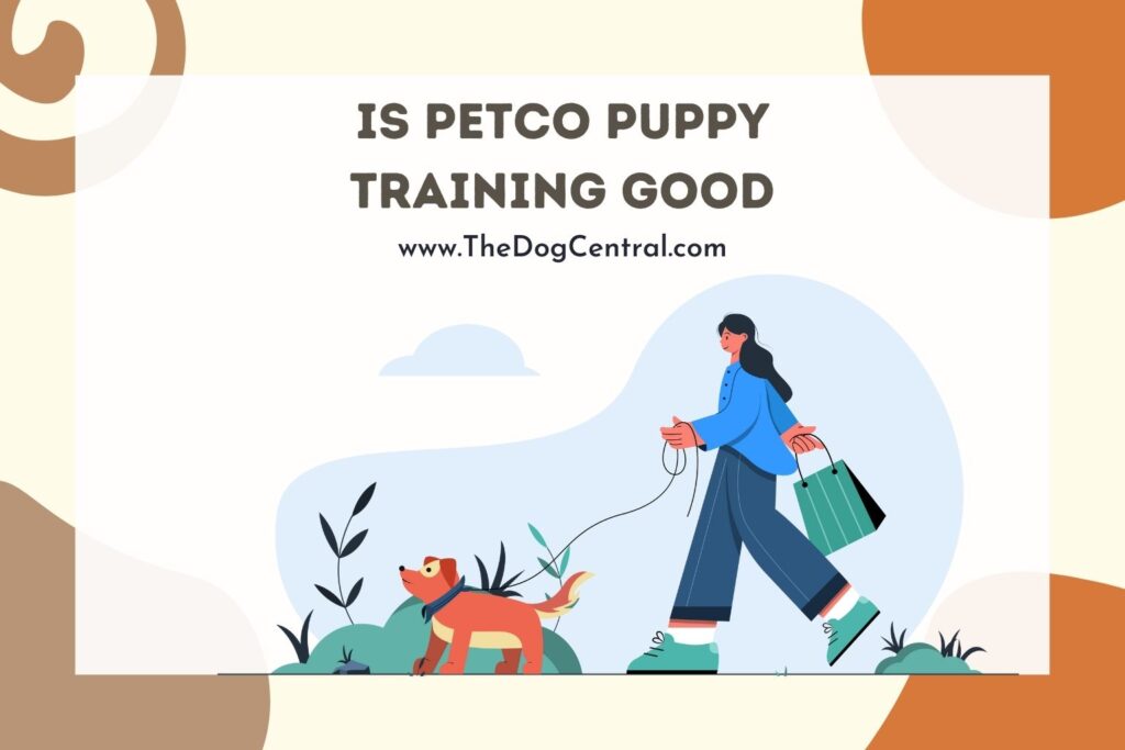 Is Petco Puppy Training Good? The Dog Central