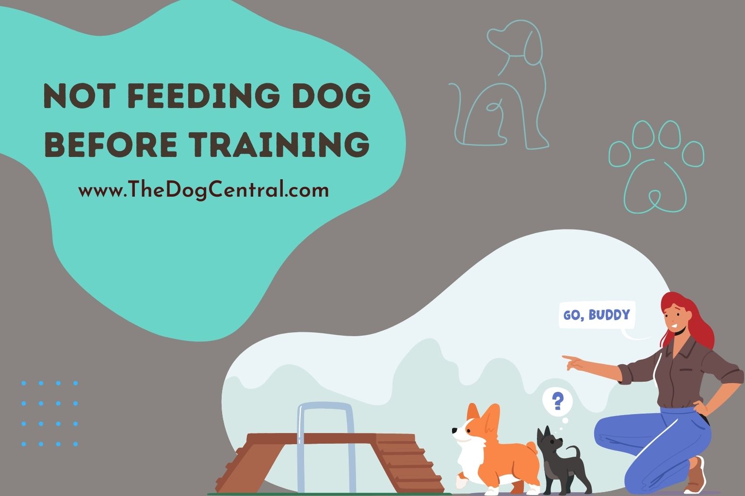 not feeding dog before training