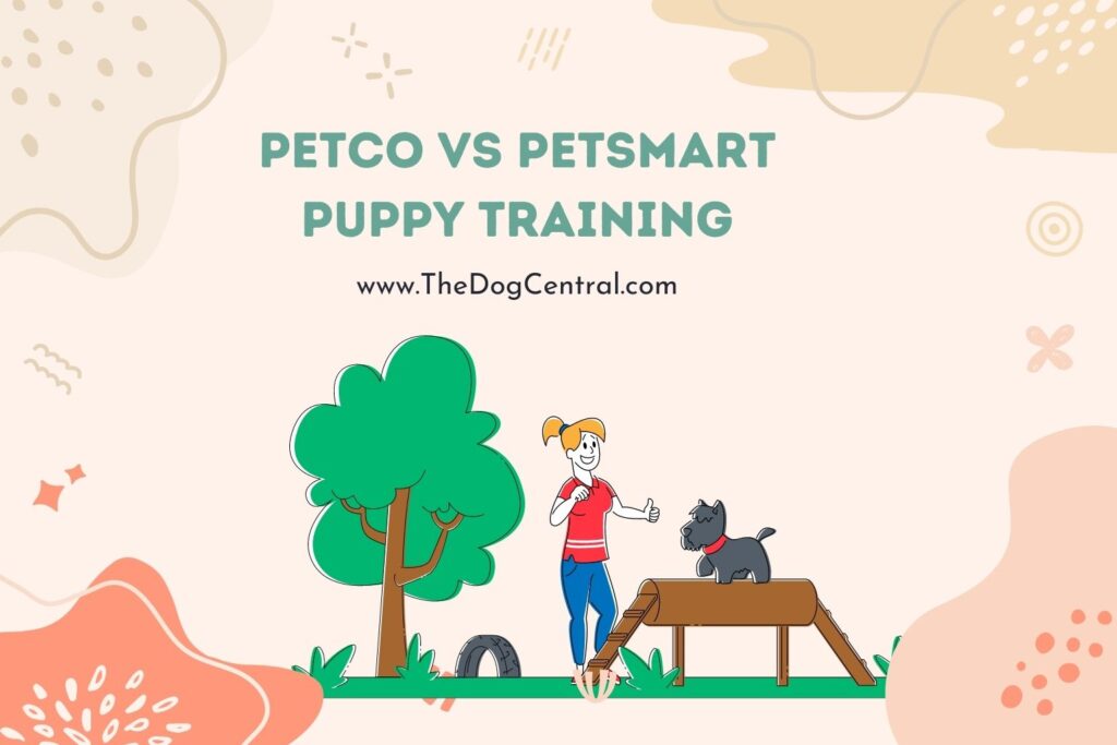 Petco Vs. PetSmart Puppy Training The Dog Central