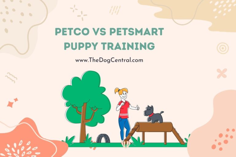 petco vs petsmart puppy training