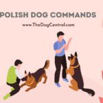 Polish Dog Commands