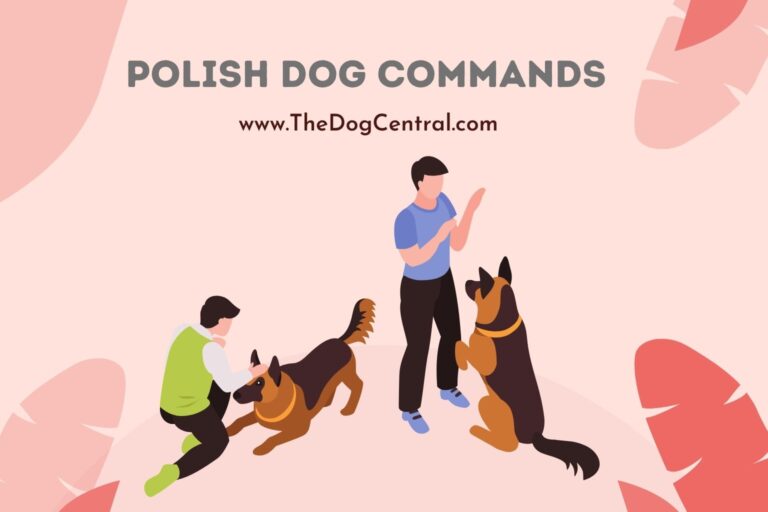 polish dog commands