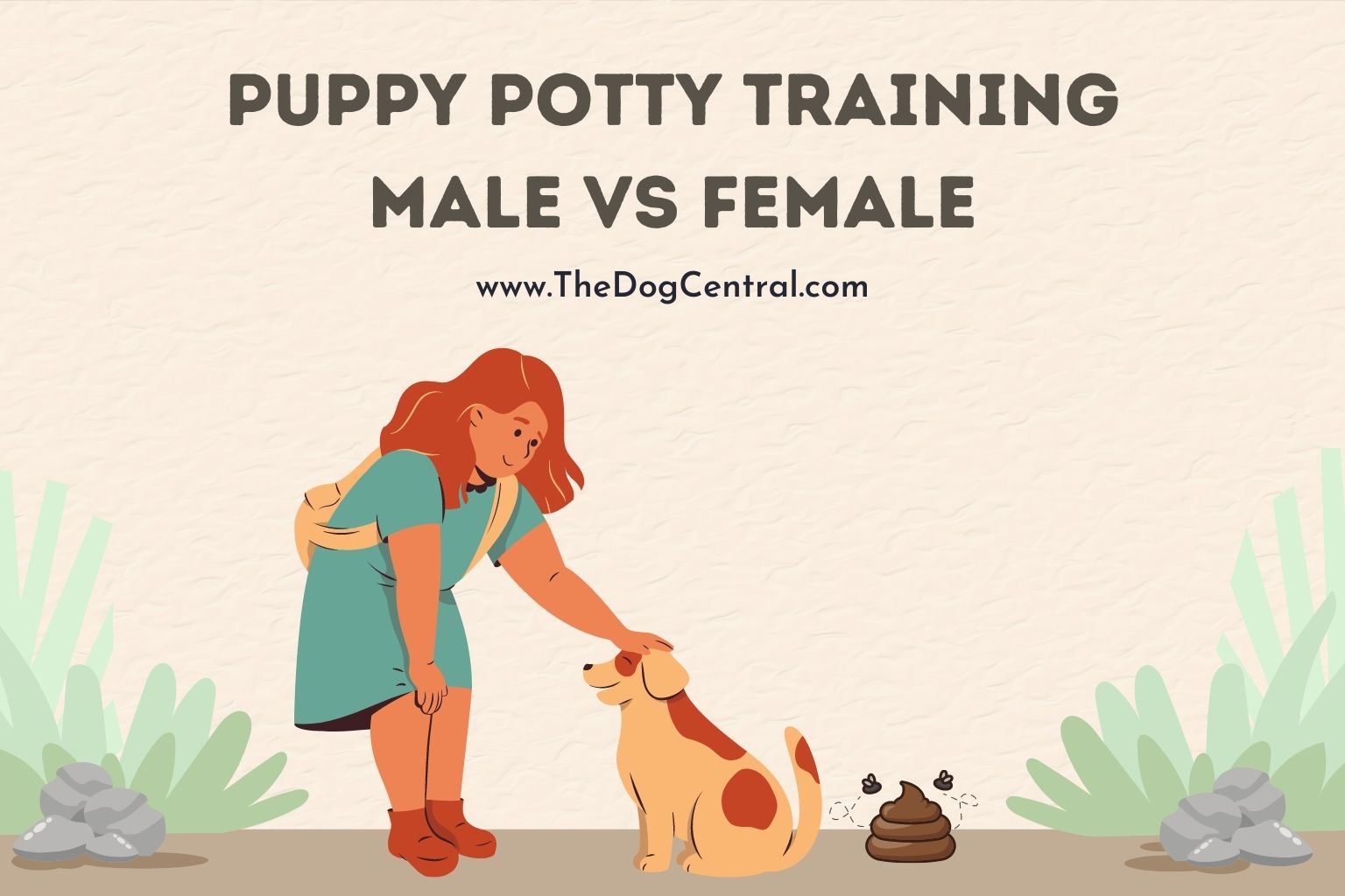 puppy potty training male vs female