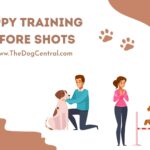 Puppy Training Before Shots