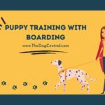 Puppy Training With Boarding