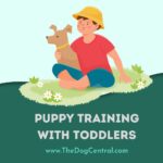 Puppy Training With Toddlers