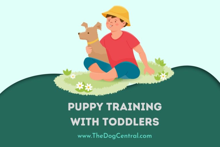 puppy training with toddlers