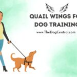 Quail Wings For Dog Training